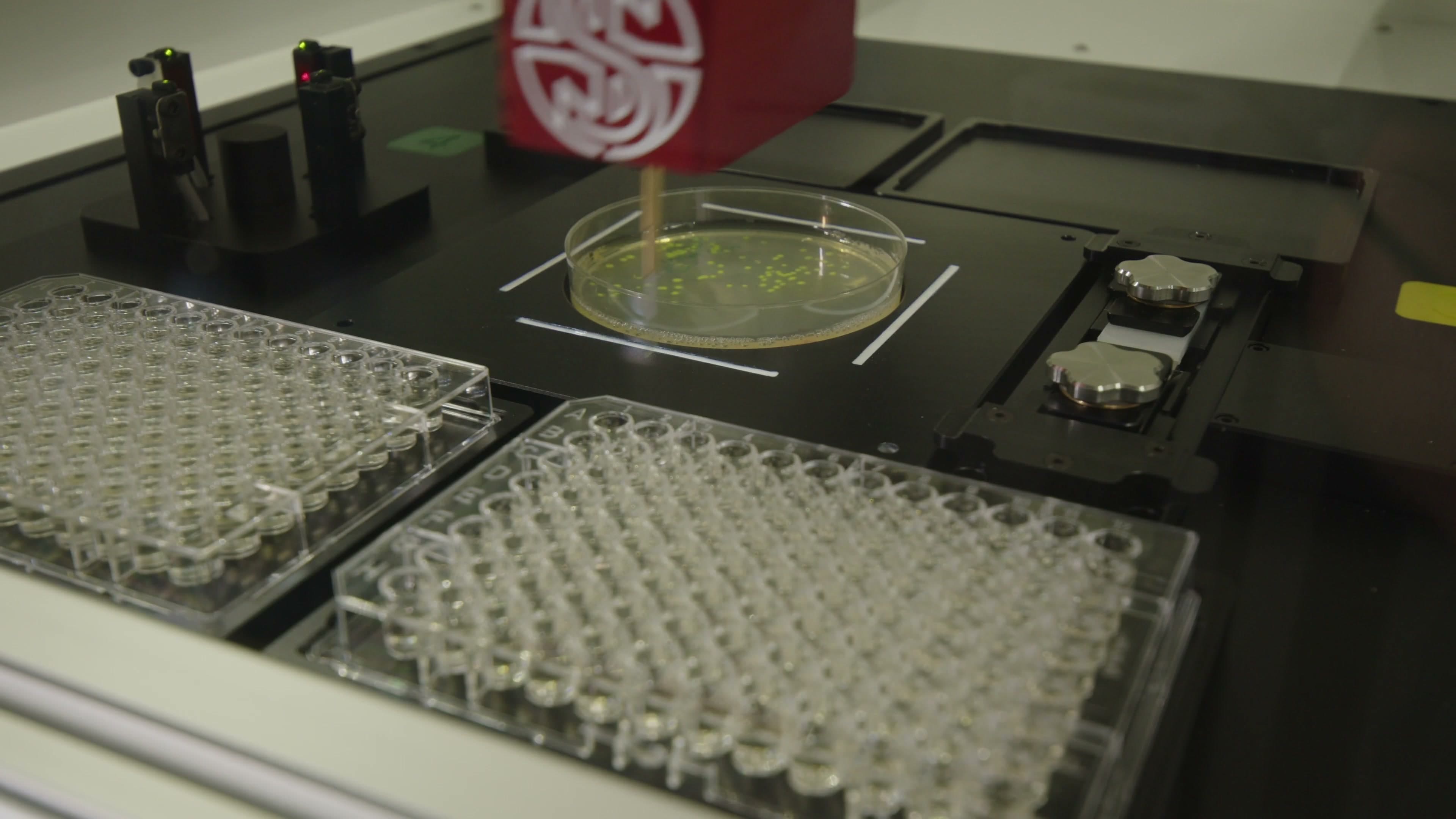 UK-Korea Engineering Biology Partnership promotional video